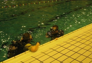  Baptems e iniciaciones en la piscina 